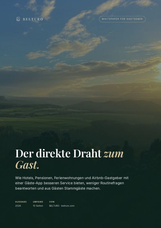 Titelseite des BELTURO Whitepapers